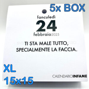 calendario infame 2025 xl - scrivania disagio ironia sarcasmo 5x box